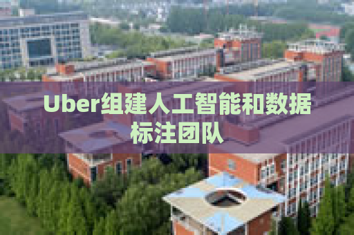 Uber组建人工智能和数据标注团队  第1张