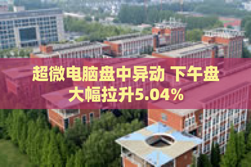 超微电脑盘中异动 下午盘大幅拉升5.04%