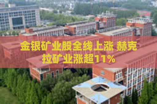 金银矿业股全线上涨 赫克拉矿业涨超11%