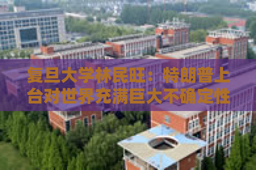 复旦大学林民旺：特朗普上台对世界充满巨大不确定性，但我们有与其打交道的经验