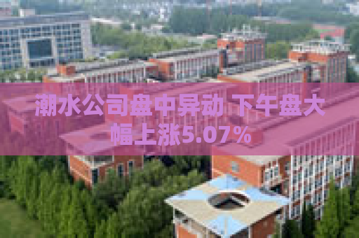 潮水公司盘中异动 下午盘大幅上涨5.07%