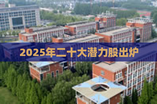 2025年二十大潜力股出炉