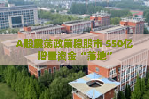 A股震荡政策稳股市 550亿增量资金“落地”