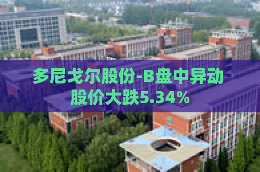 多尼戈尔股份-B盘中异动 股价大跌5.34%  第1张