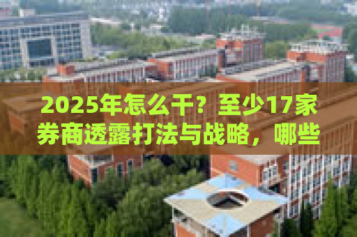 2025年怎么干？至少17家券商透露打法与战略，哪些关键词最高频？  第1张