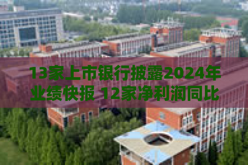 13家上市银行披露2024年业绩快报 12家净利润同比增长