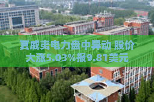 夏威夷电力盘中异动 股价大涨5.03%报9.81美元  第1张