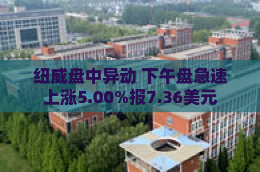 纽威盘中异动 下午盘急速上涨5.00%报7.36美元