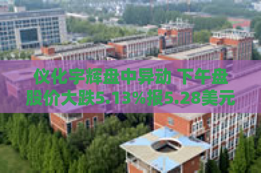 仪化宇辉盘中异动 下午盘股价大跌5.13%报5.28美元