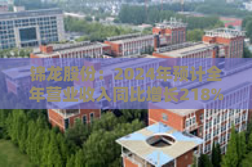 锦龙股份：2024年预计全年营业收入同比增长218%-296%