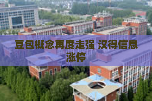 豆包概念再度走强 汉得信息涨停