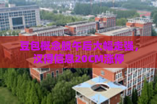 豆包概念股午后大幅走强，汉得信息20CM涨停