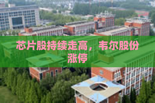 芯片股持续走高，韦尔股份涨停