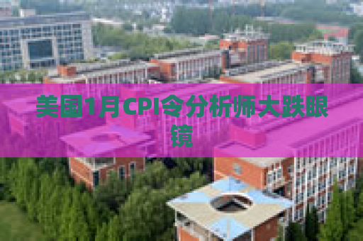 美国1月CPI令分析师大跌眼镜