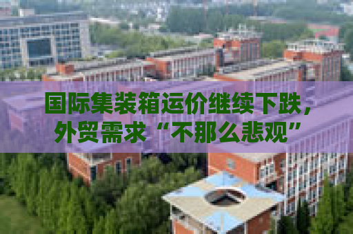 国际集装箱运价继续下跌，外贸需求“不那么悲观”