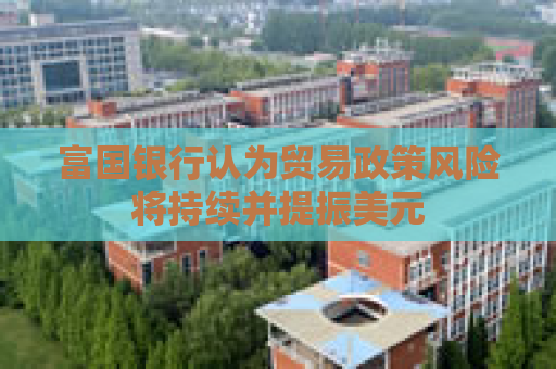 富国银行认为贸易政策风险将持续并提振美元