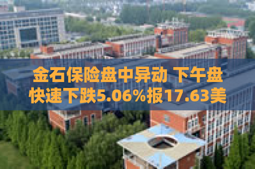 金石保险盘中异动 下午盘快速下跌5.06%报17.63美元