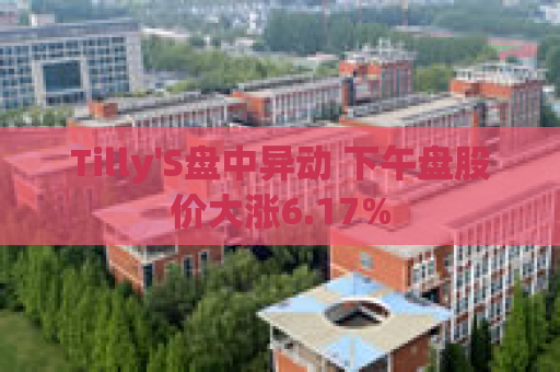 Tilly'S盘中异动 下午盘股价大涨6.17%