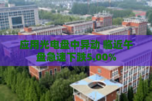 应用光电盘中异动 临近午盘急速下跌5.00%