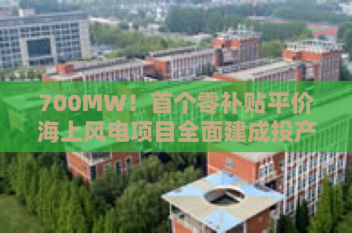 700MW！首个零补贴平价海上风电项目全面建成投产