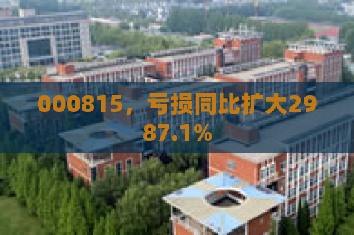 000815，亏损同比扩大2987.1%