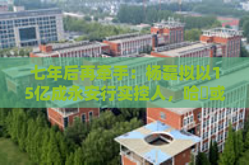 七年后再牵手：杨磊拟以15亿成永安行实控人，哈啰或将借壳上市