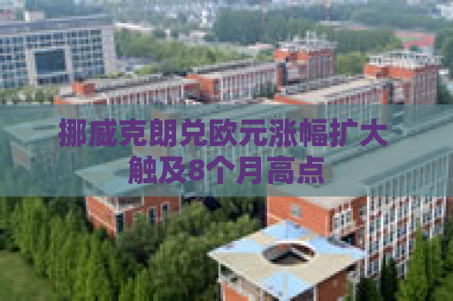 挪威克朗兑欧元涨幅扩大 触及8个月高点