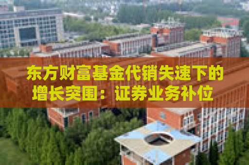 东方财富基金代销失速下的增长突围：证券业务补位 双轮驱动能否持续？