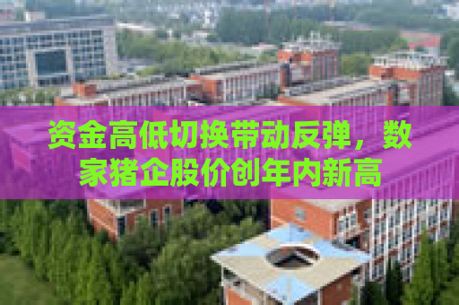 资金高低切换带动反弹，数家猪企股价创年内新高