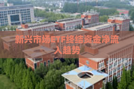 新兴市场ETF终结资金净流入趋势
