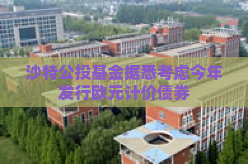 沙特公投基金据悉考虑今年发行欧元计价债券