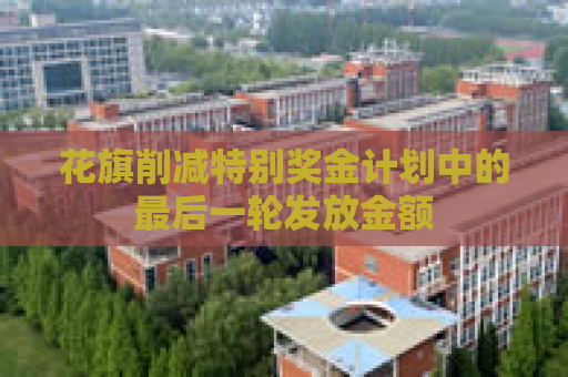 花旗削减特别奖金计划中的最后一轮发放金额