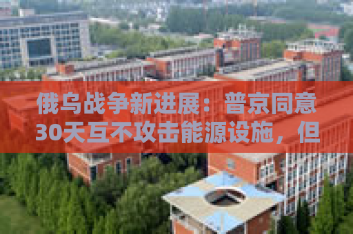 俄乌战争新进展：普京同意30天互不攻击能源设施，但停火条件“苛刻”！
