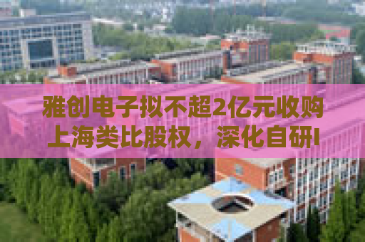雅创电子拟不超2亿元收购上海类比股权，深化自研IC业务布局