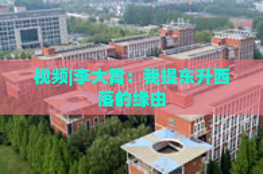 视频|李大霄：我提东升西落的缘由