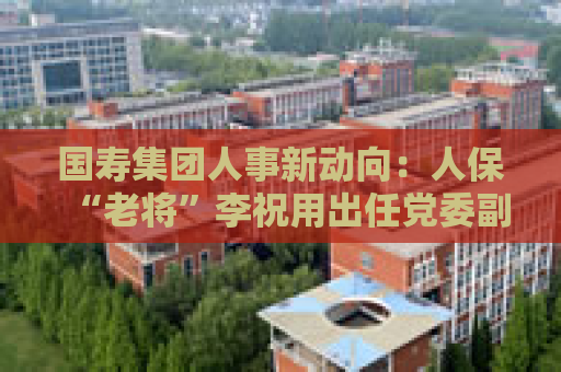 国寿集团人事新动向：人保“老将”李祝用出任党委副书记