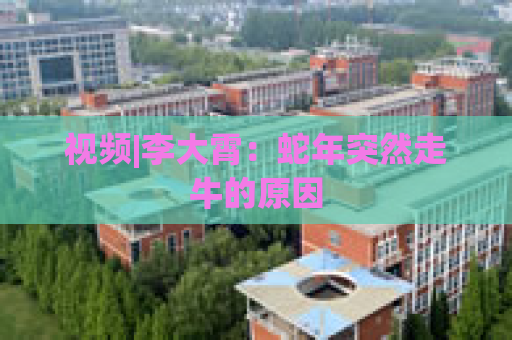 视频|李大霄：蛇年突然走牛的原因