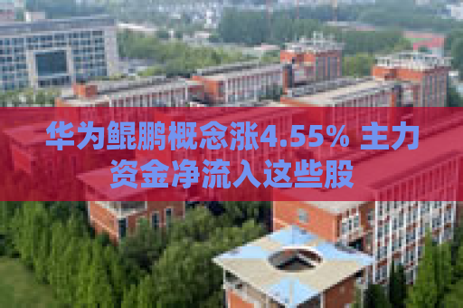 华为鲲鹏概念涨4.55% 主力资金净流入这些股