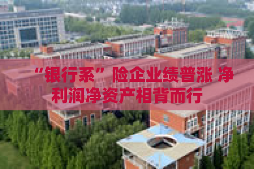 “银行系”险企业绩普涨 净利润净资产相背而行