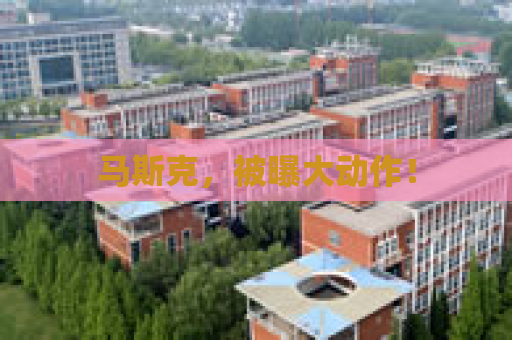 马斯克，被曝大动作！
