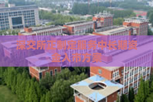 深交所正制定服务中长期资金入市方案