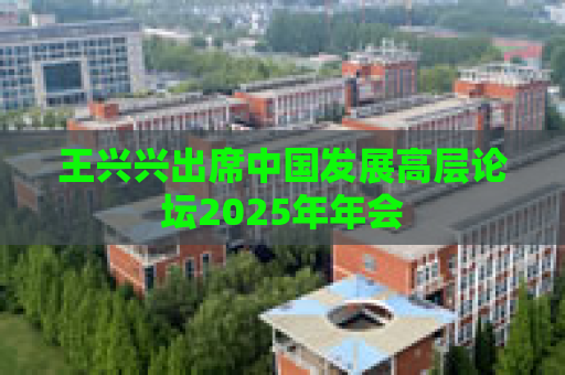 王兴兴出席中国发展高层论坛2025年年会