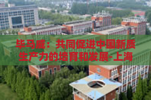 毕马威：共同促进中国新质生产力的培育和发展-上海证券报·中国证券网