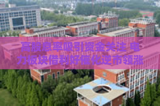 高股息率吸引资金关注 电力板块借利好催化逆市领涨