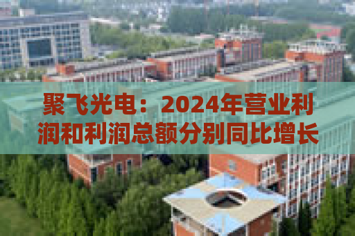 聚飞光电：2024年营业利润和利润总额分别同比增长50.20%和49.71%