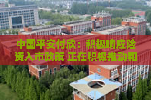 中国平安付欣：积极响应险资入市政策 正在积极推动和落地长期股票投资