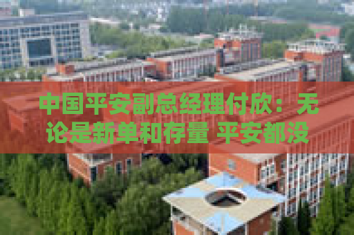 中国平安副总经理付欣：无论是新单和存量 平安都没有利差损