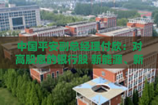 中国平安副总经理付欣：对高股息的银行股 新能源、新质生产力、机器人、人工智能等高附加值领域都会关注