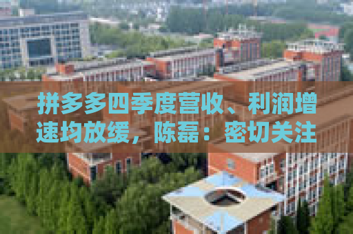 拼多多四季度营收、利润增速均放缓，陈磊：密切关注新技术变化