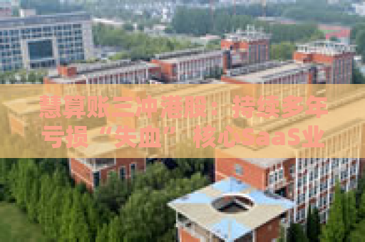 慧算账三冲港股：持续多年亏损“失血” 核心SaaS业务萎靡难留老客难获新客、未来依赖撮合引流服务？